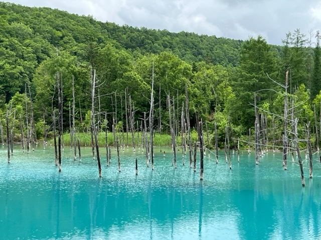 青の池