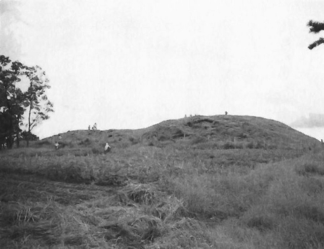 1996年撮影の固城松鶴洞古墳（西より望む）