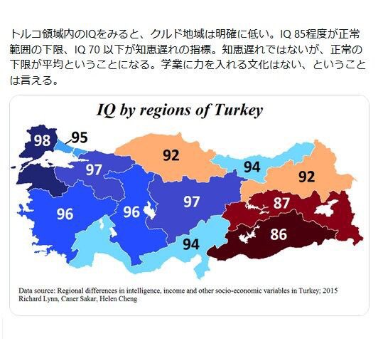 20230802クルド人『私たちトルコ人は武装しており、間もなく左翼の日本の同胞たちとともに政府を打倒するでしょう。第二の広島が来る』クルド人１００人病院前乱闘騒ぎで、救急受け入れが５時間半停止していた！埼玉