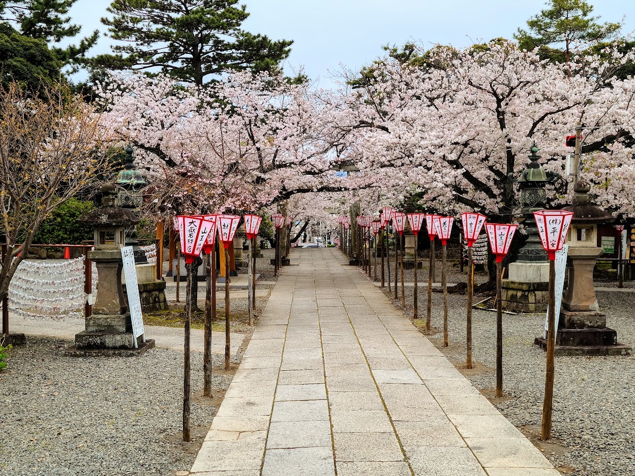 沼津日枝神社2023春幻日のヨハネ聖地 (3)