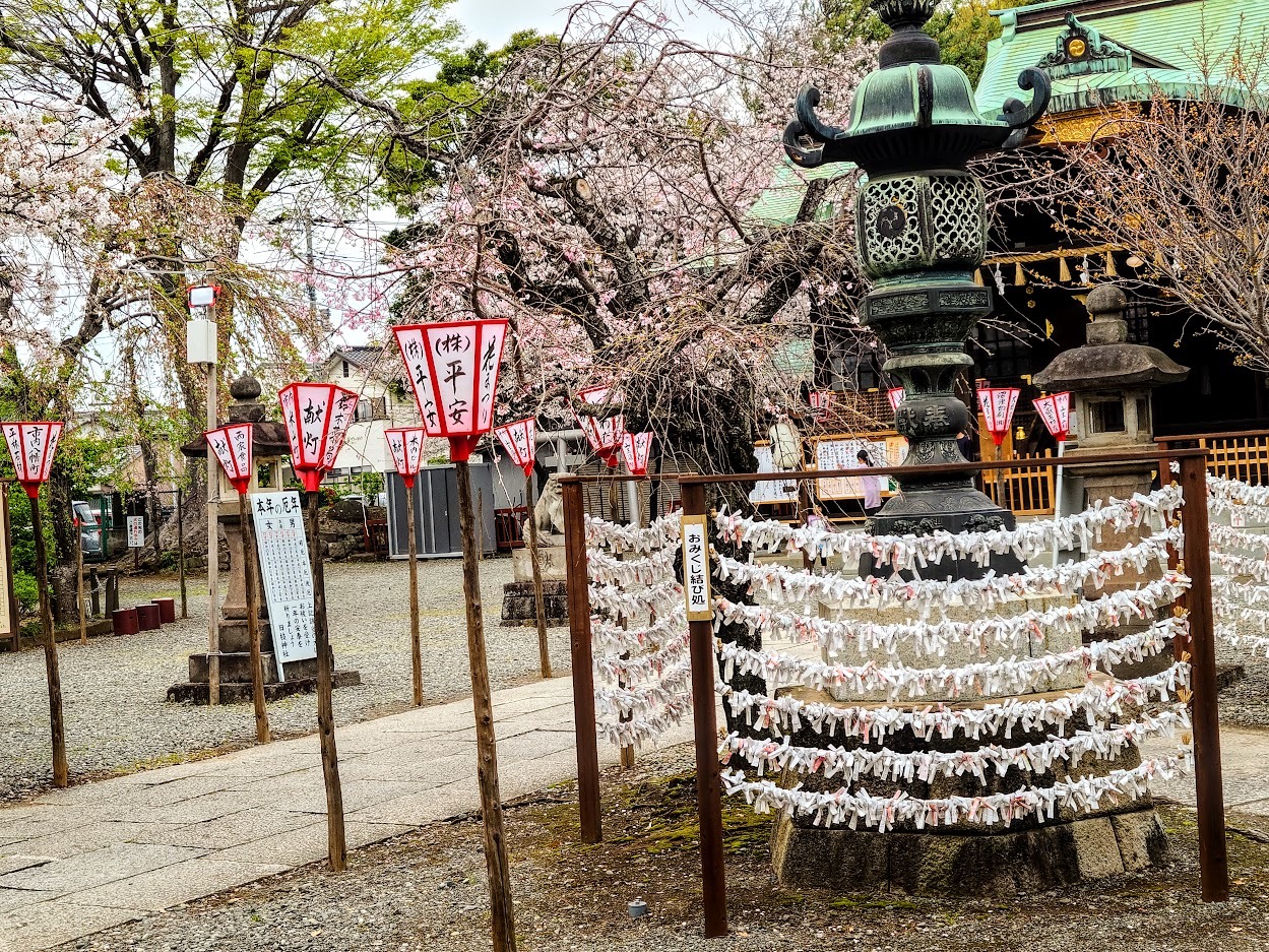 沼津日枝神社2023春幻日のヨハネ聖地おみくじ (1)