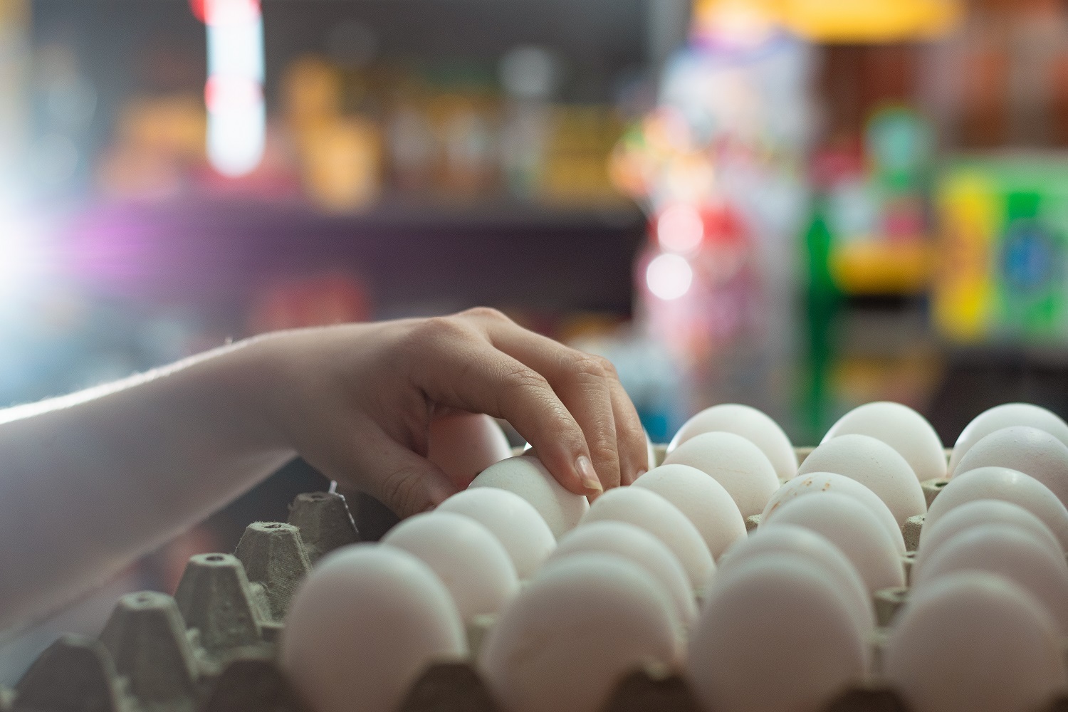米国の卵の価格 (2)