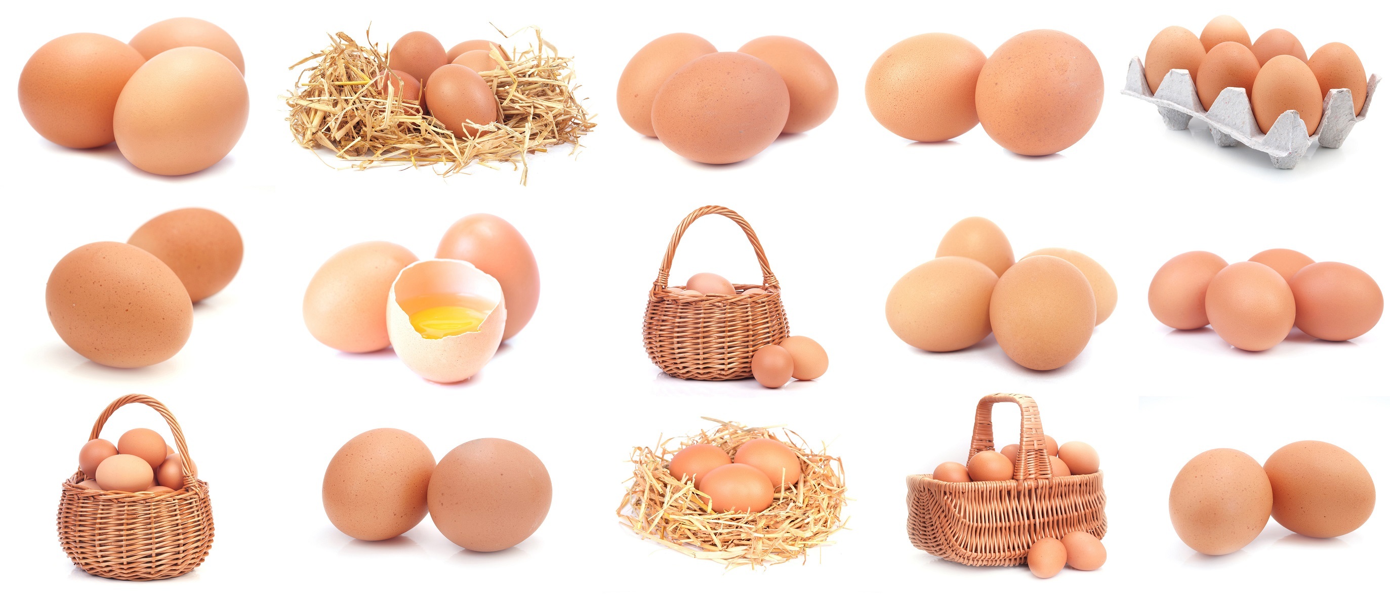 米国の卵の価格 (4)