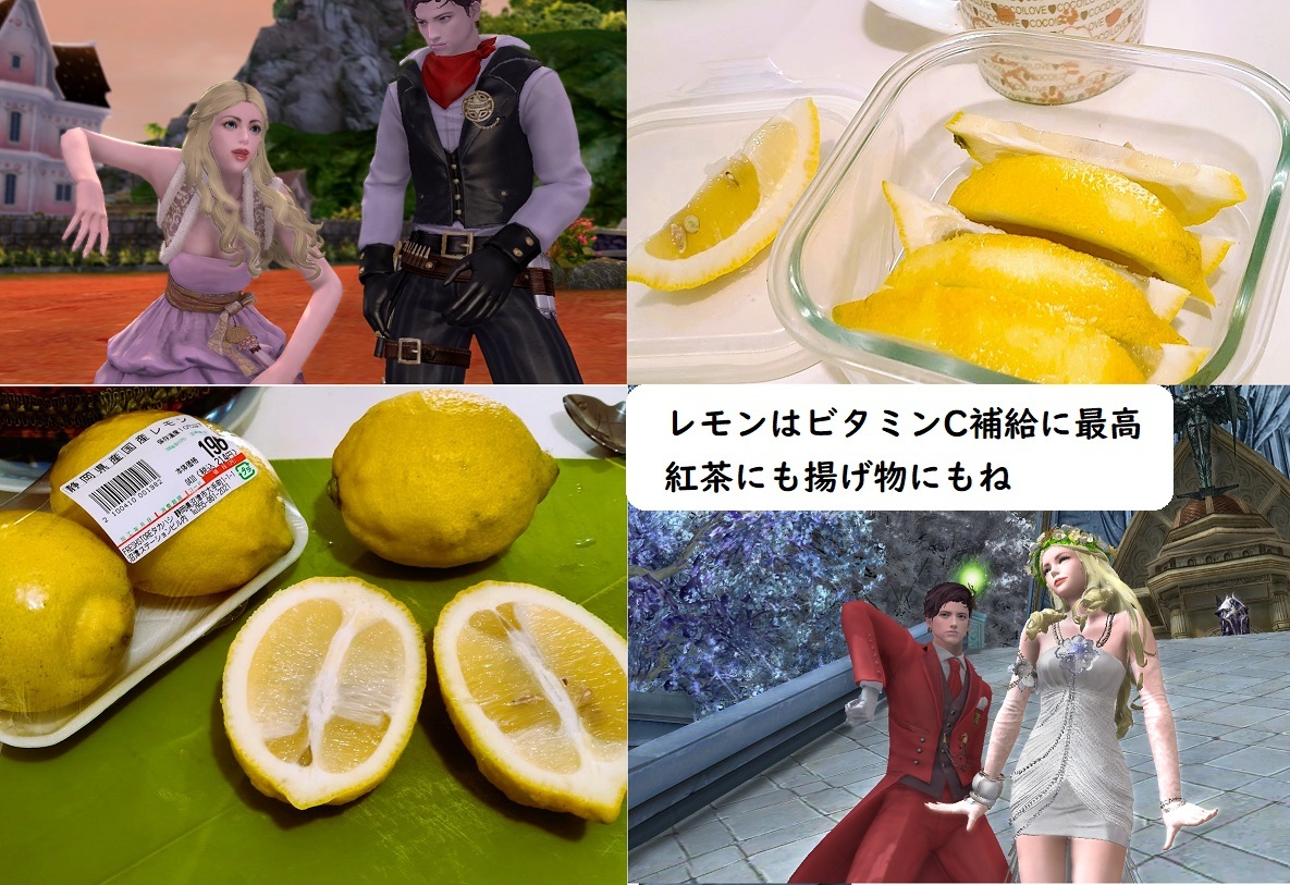 今年は豊作の静岡県沼津産の大きなレモン