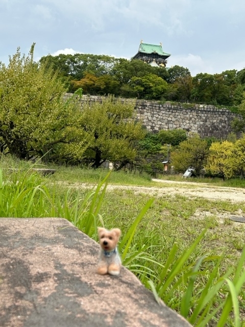 石垣と大阪城
