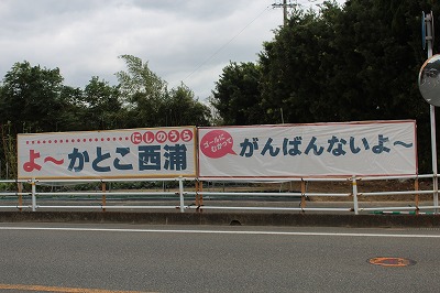 2023福岡マラソン (1)
