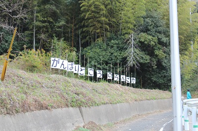 2023福岡マラソン (3)