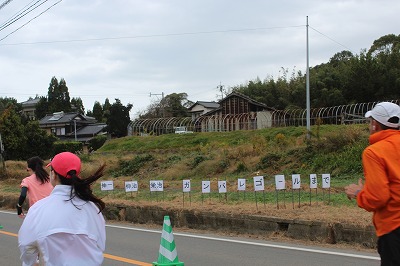 2023福岡マラソン (11)