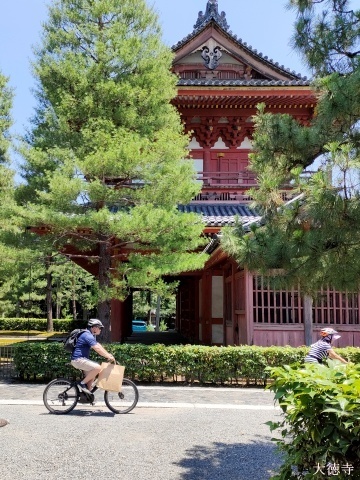 大徳寺と外国人サイクリング2307