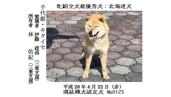 20230416岐阜CH展-01-道犬牝組最優秀犬