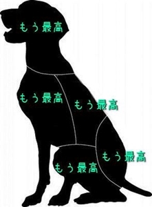 犬の地図