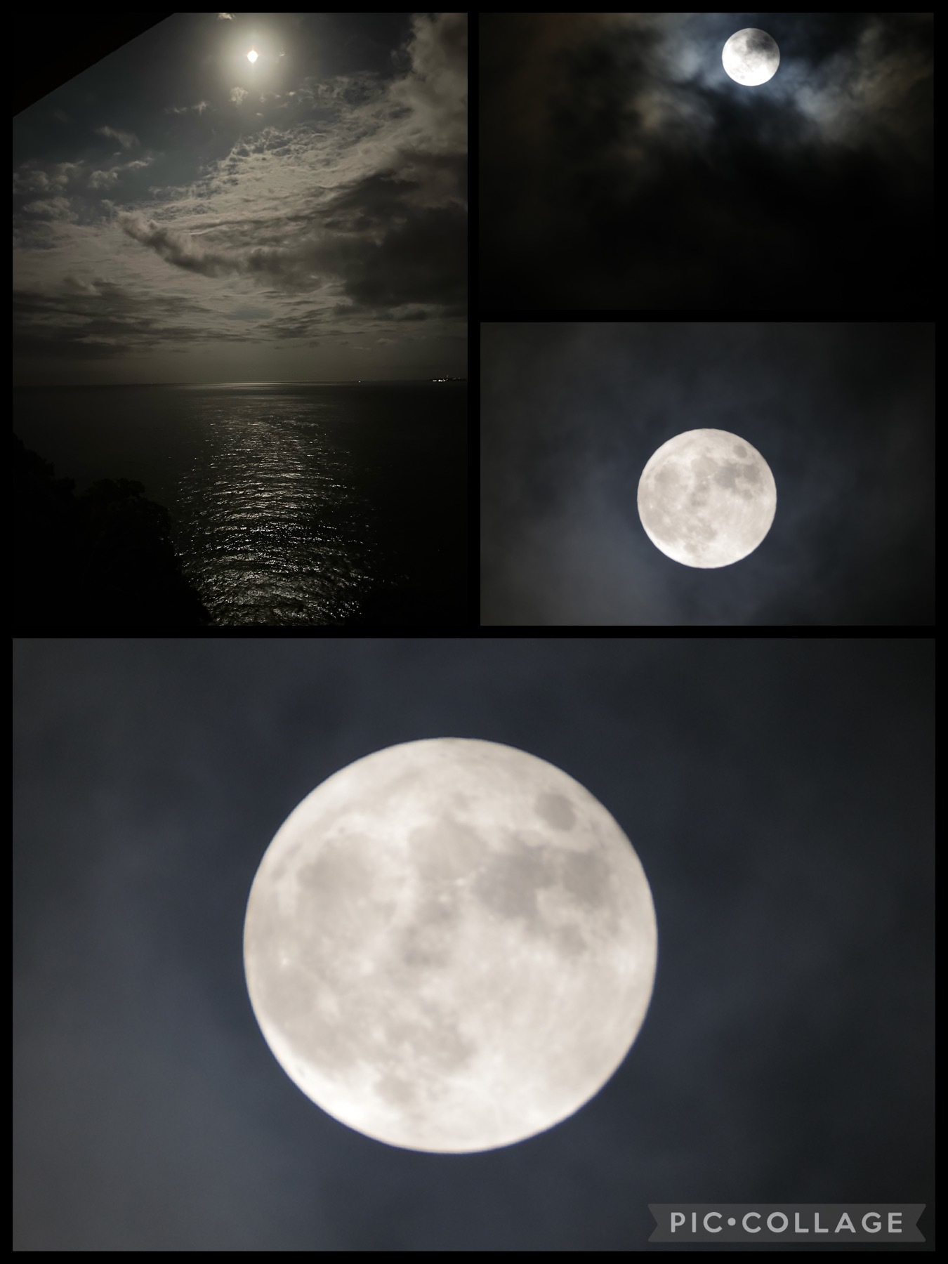 東急ハーヴェストクラブVIALA熱海伊豆山宿泊　中秋の名月満月