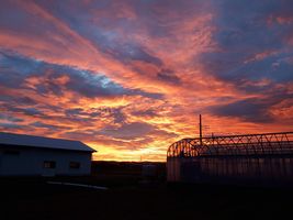 【写真】朝五時の農園東方の朝焼け空