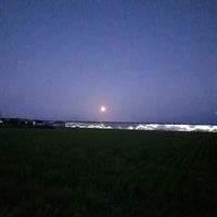 【写真】農園東方の空に昇る中秋の名月