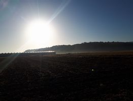 【写真】農園東の空に見える眩しい朝陽