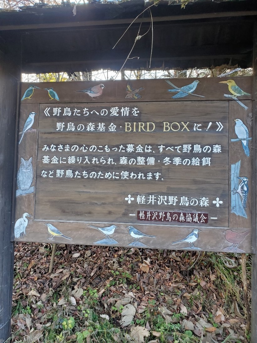 ピノキオ４軽井沢野鳥の森の看板