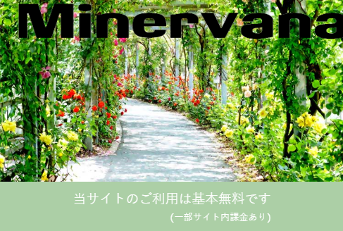 【Minervana】GRASSROOTS AFFINITY DESIGN COMPANY 詐欺