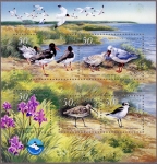 ウクライナ・黒海自然保護区（2002）